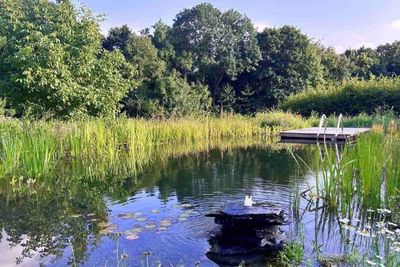 Il y a plusieurs avantages &agrave; opter pour un &eacute;tang de baignade naturel