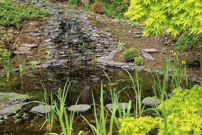Un &eacute;tang naturel am&egrave;ne une sensation de fraicheur dans son jardin