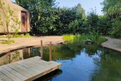 Les minis piscines naturelles sont parfaites pour les petits espaces ext&eacute;rieurs