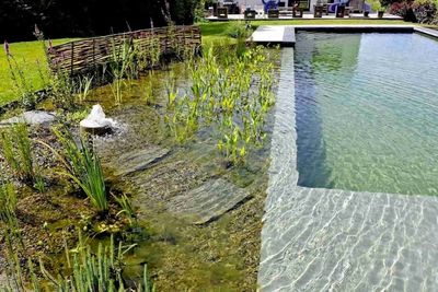 Une piscine naturelle offre un espace deb baignade et am&egrave;ne de la biodiversit&eacute; dans votre jardin
