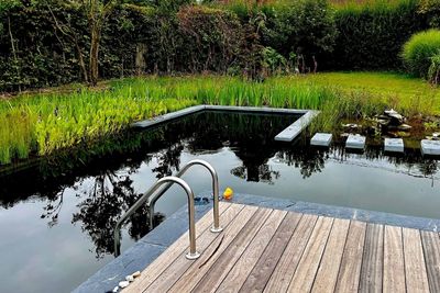 Le choix entre une piscine naturelle et une piscine classique d&eacute;pend de vos attentes