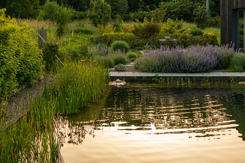 Peut-on chauffer une Piscine Naturelle ?