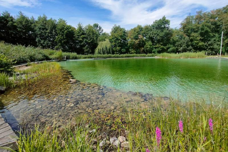 piscine naturelle