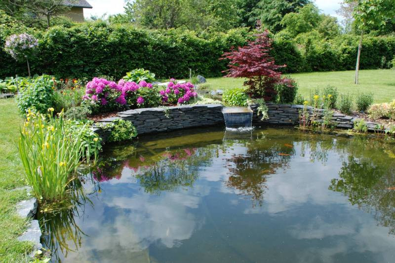 Construction d’un étang de nage à Liège : étapes