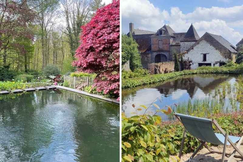 Différences entre piscine naturelle et étang de nage à Namur