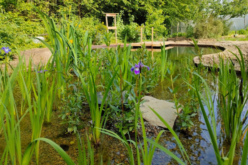 Etang de nage à Soye