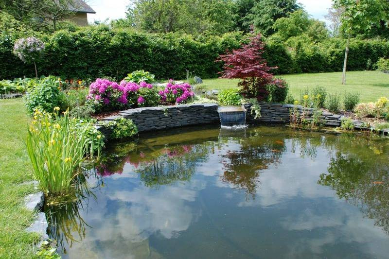 Etang avec rivière et cascade