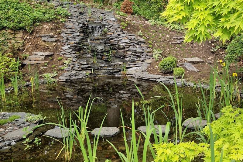 Etang naturel : comment l’intégrer à son jardin à Hannut et Huy ? 