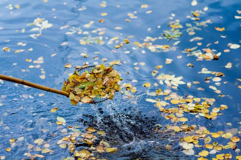 Hivernage de votre Piscine Naturelle