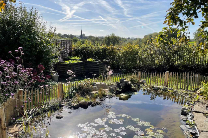 Réhabilitation d'une mare à Charleroi