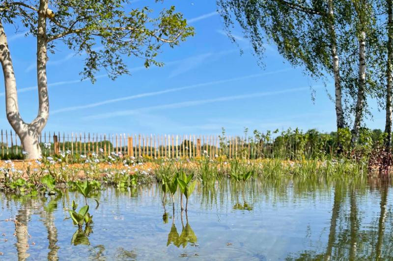 Avantages mare naturelle pour la biodiversité à Hannut et Waremme