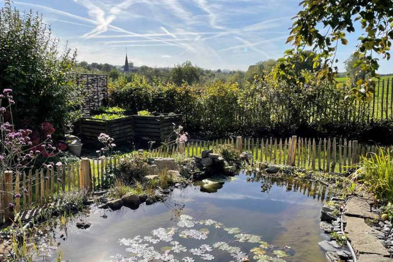 Créer une mare naturelle dans son jardin à Andenne et Huy 