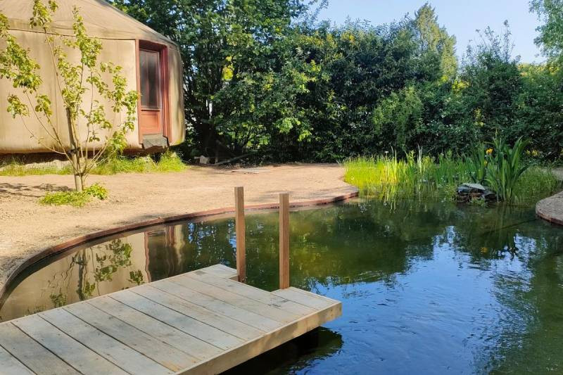 Mini piscine naturelle pour petit jardin à Liège : avantages