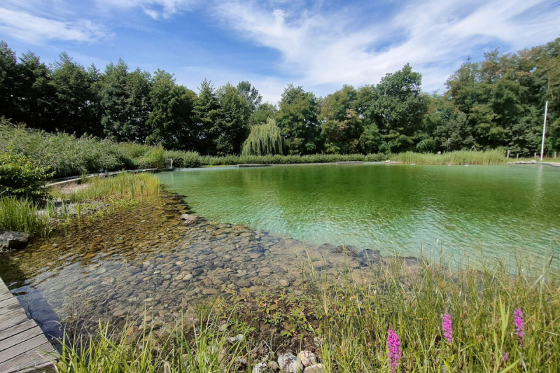 Piscine naturelle