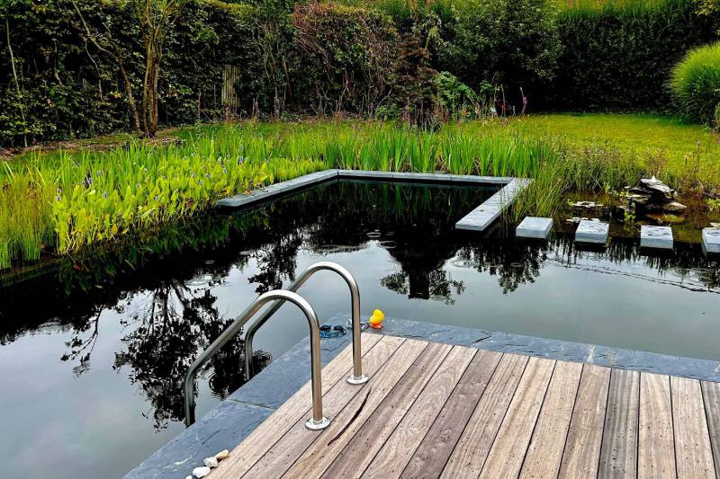 Choix piscine naturelle ou traditionnelle en Brabant wallon ?
