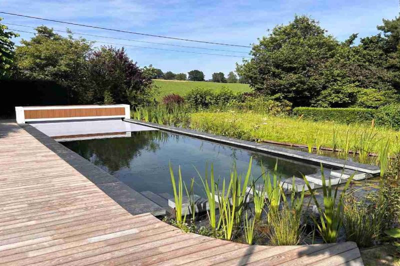 Surface d’une piscine naturelle : quelle taille minimum ?