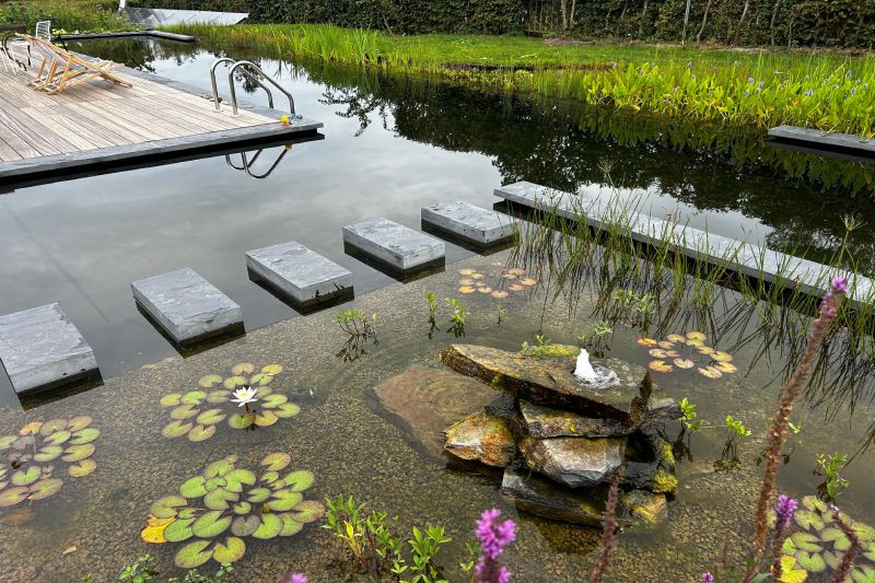 Comment concevoir la filtration de sa piscine naturelle ?